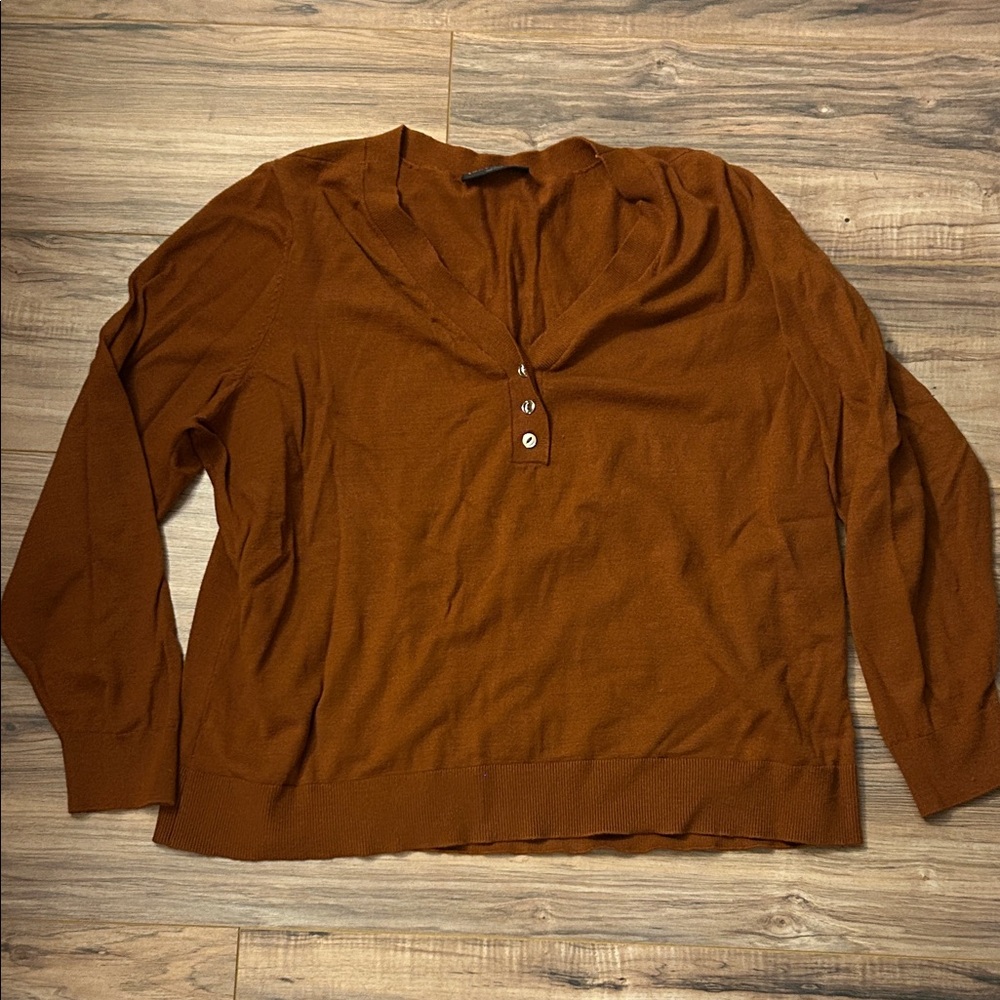 Lane Bryant Rust V-Neck Sweater